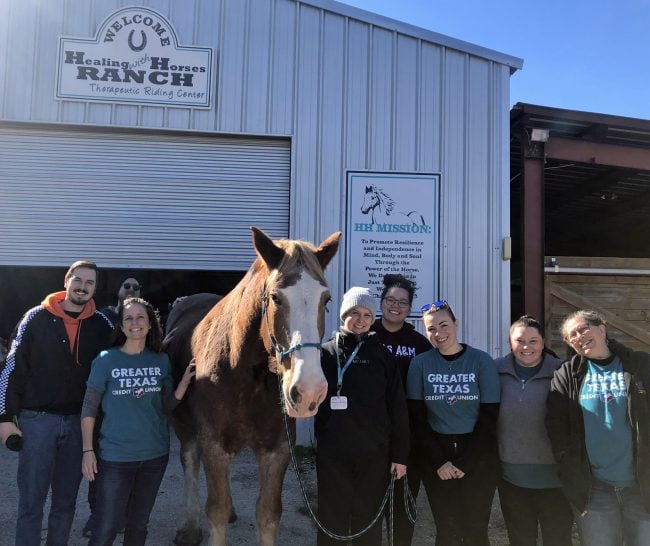 Greater Texas CU employees volunteer for Healing With Horses