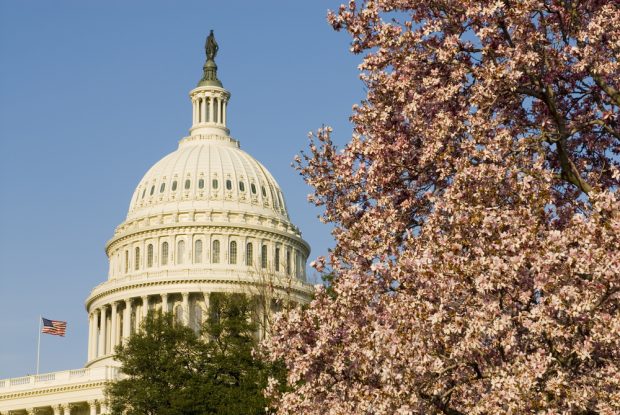 U.S. Capitol