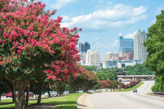 View of downtown Raleigh, N.C. Credit/Shutterstock