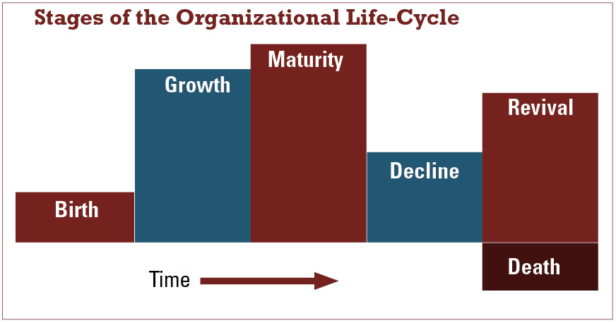 business life cycle chart