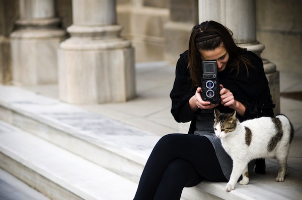 pets in the workplace