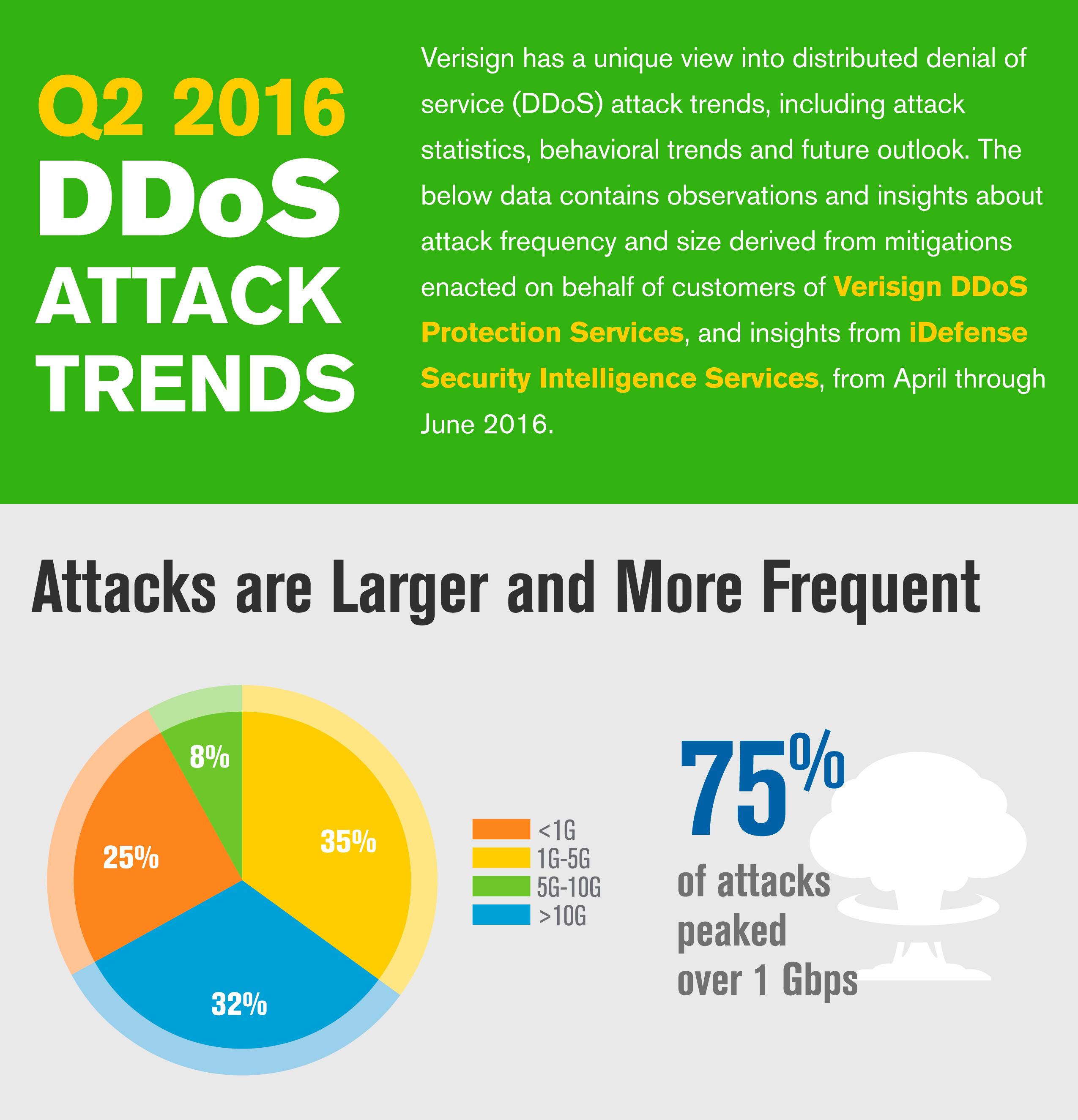 DDoS Attack Infographic