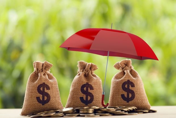 bags of money protected by a red umbrella
