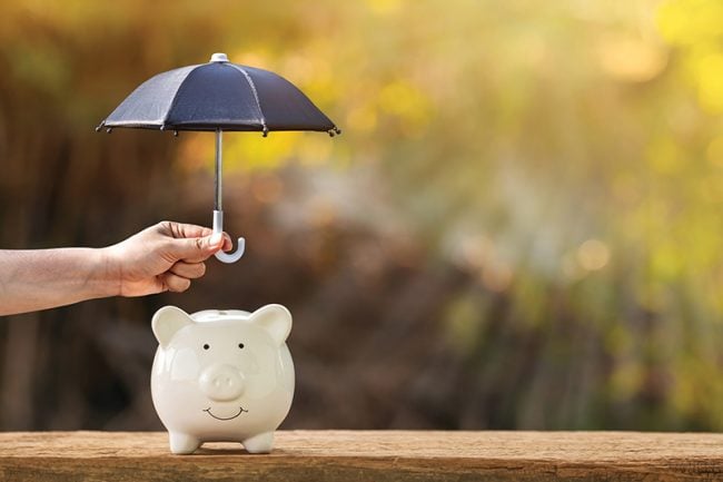Piggy bank and woman hand hold the black umbrella