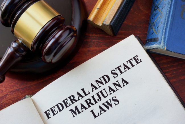 Federal and state marijuana laws