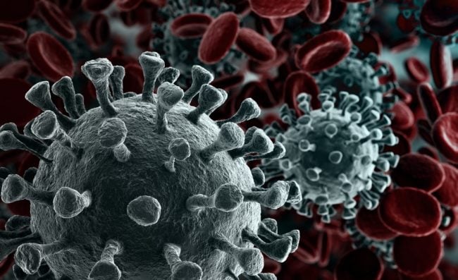 Microscope virus close up of the novel coronavirus.