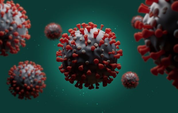 A 3-D rendering of the COVID-19 virus.