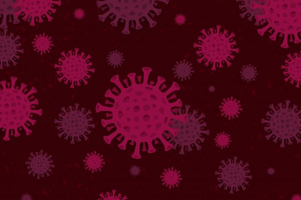 Coronavirus cells close up
