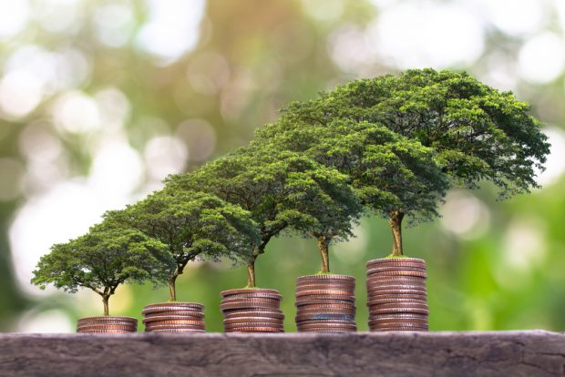 money planted to help grow the economy