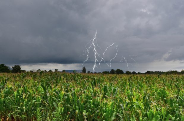 lightening strikes in a corn field