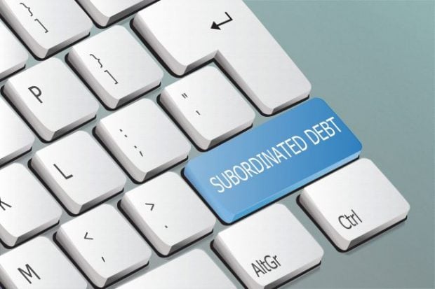 the words subordinated debt on keyboard