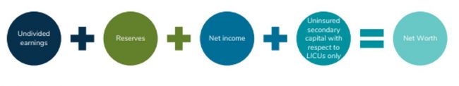 net worth graphic