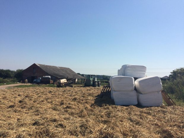 Farm owned by a credit union member who benefitted from the CAP Project in 2017. (Photo Credit: WOCCU)