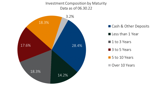 investment composition by maturity graphic