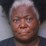 Linda Stephens mugshot (Source: Polk County Sheriff's Department).