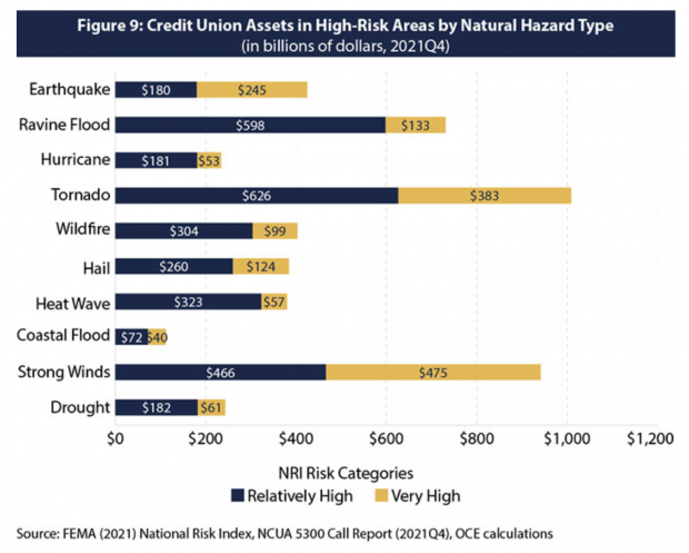 Graph from NCUA's report showing NRI Risk Categories.